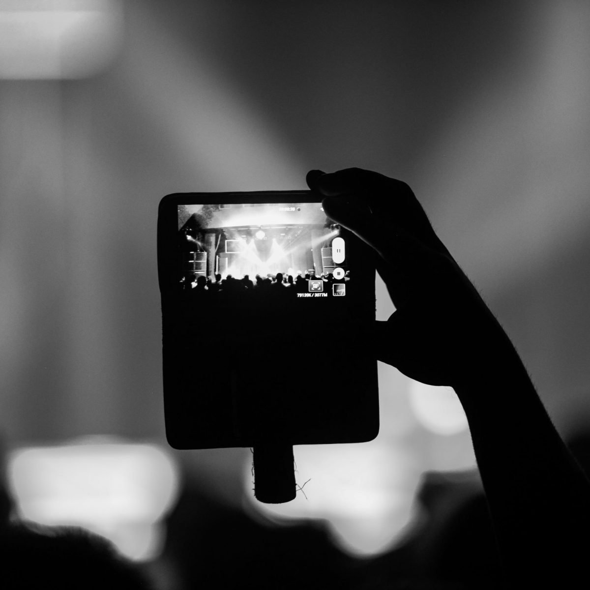 Let the Light Lead A Comprehensive Guide to Lighting Techniques in